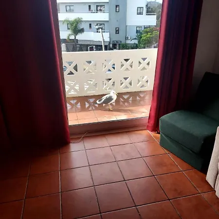 - Dolamar T1 Apartment Albufeira